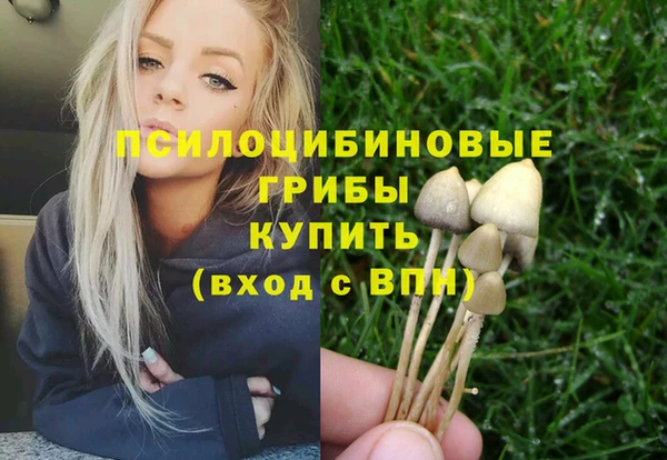 шишки Нязепетровск