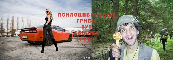 шишки Нязепетровск