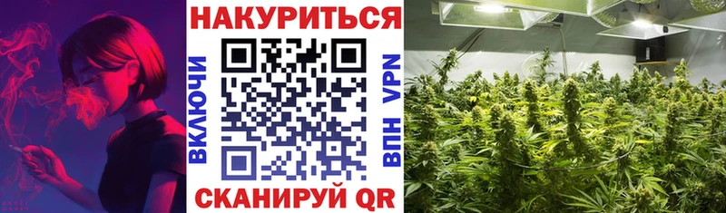 ссылка на мегу   Кедровый  Конопля SATIVA & INDICA  где купить  